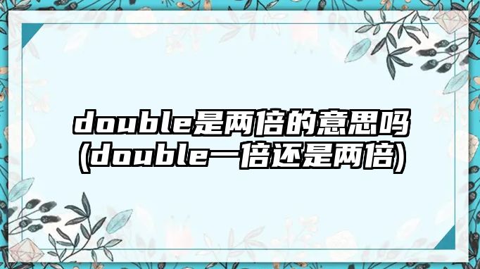 double是兩倍的意思嗎(double一倍還是兩倍)