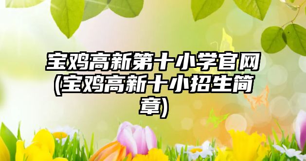 寶雞高新第十小學官網(wǎng)(寶雞高新十小招生簡章)