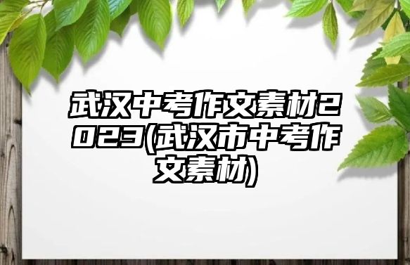 武漢中考作文素材2023(武漢市中考作文素材)