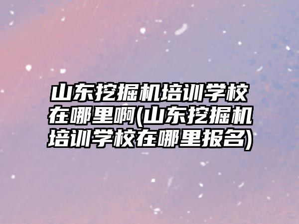 山東挖掘機培訓(xùn)學(xué)校在哪里啊(山東挖掘機培訓(xùn)學(xué)校在哪里報名)