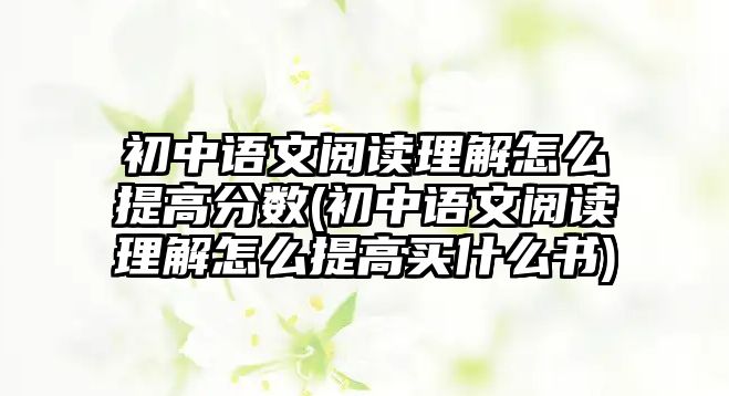 初中語文閱讀理解怎么提高分數(shù)(初中語文閱讀理解怎么提高買什么書)