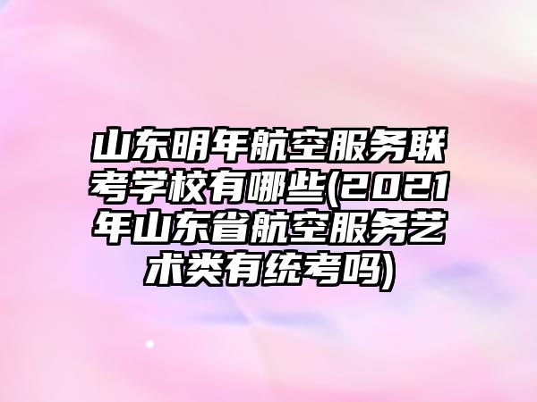 山東明年航空服務聯(lián)考學校有哪些(2021年山東省航空服務藝術類有統(tǒng)考嗎)