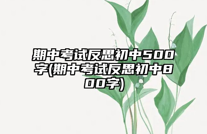 期中考試反思初中500字(期中考試反思初中800字)