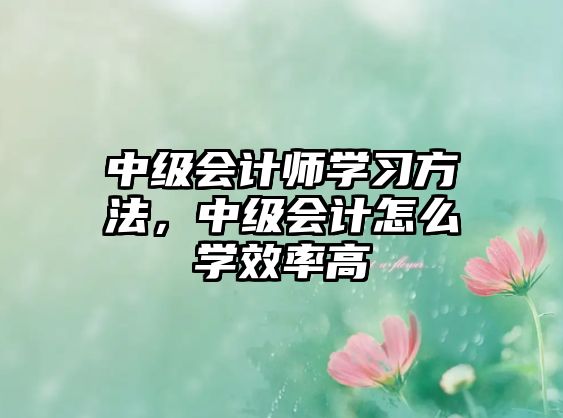 中級(jí)會(huì)計(jì)師學(xué)習(xí)方法，中級(jí)會(huì)計(jì)怎么學(xué)效率高