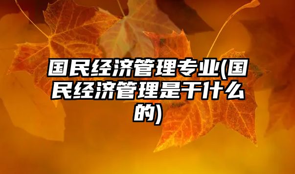 國民經(jīng)濟管理專業(yè)(國民經(jīng)濟管理是干什么的)