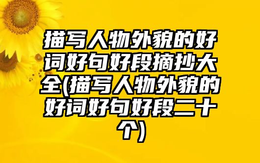 描寫(xiě)人物外貌的好詞好句好段摘抄大全(描寫(xiě)人物外貌的好詞好句好段二十個(gè))