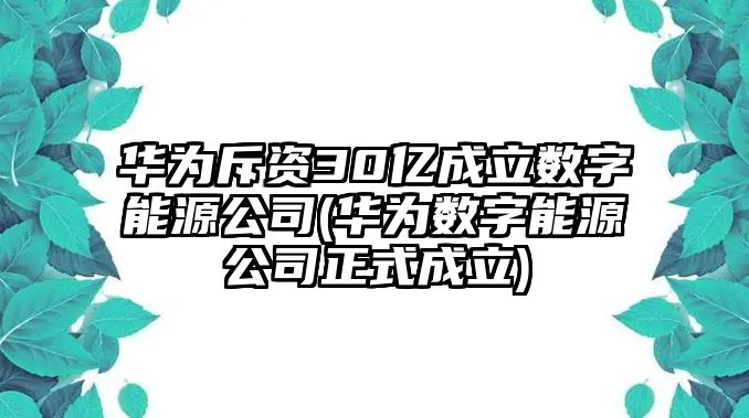 華為斥資30億成立數(shù)字能源公司(華為數(shù)字能源公司正式成立)