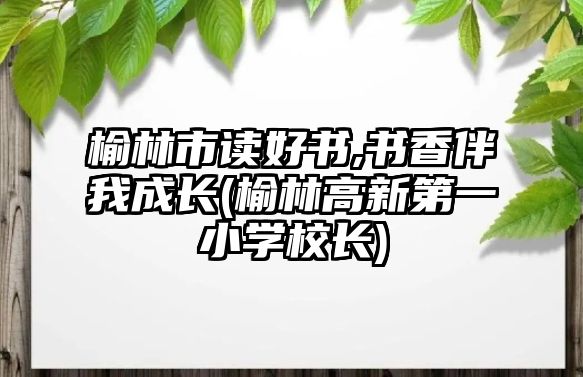 榆林市讀好書,書香伴我成長(zhǎng)(榆林高新第一小學(xué)校長(zhǎng))