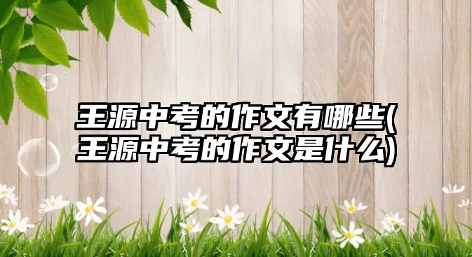 王源中考的作文有哪些(王源中考的作文是什么)