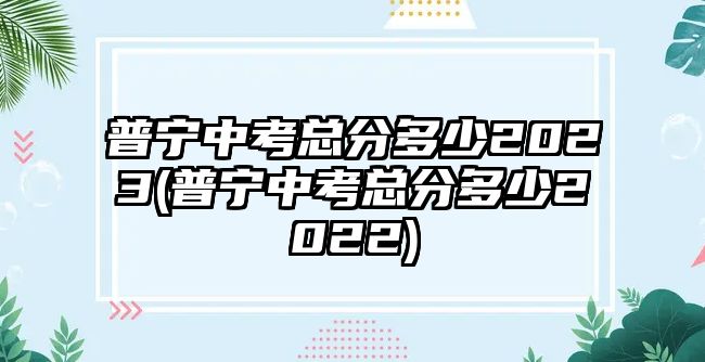 普寧中考總分多少2023(普寧中考總分多少2022)