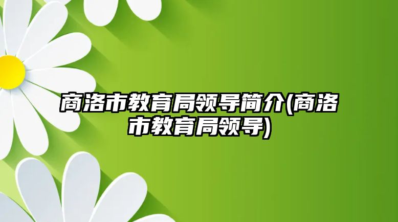 商洛市教育局領(lǐng)導(dǎo)簡介(商洛市教育局領(lǐng)導(dǎo))