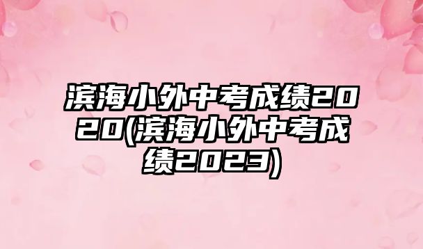 濱海小外中考成績(jī)2020(濱海小外中考成績(jī)2023)