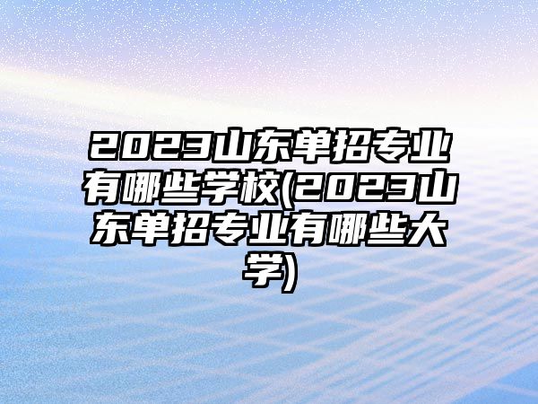 2023山東單招專業(yè)有哪些學校(2023山東單招專業(yè)有哪些大學)